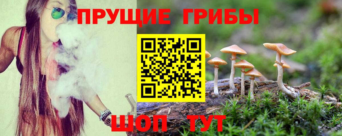 Галлюциногенные грибы GOLDEN TEACHER Кузнецк