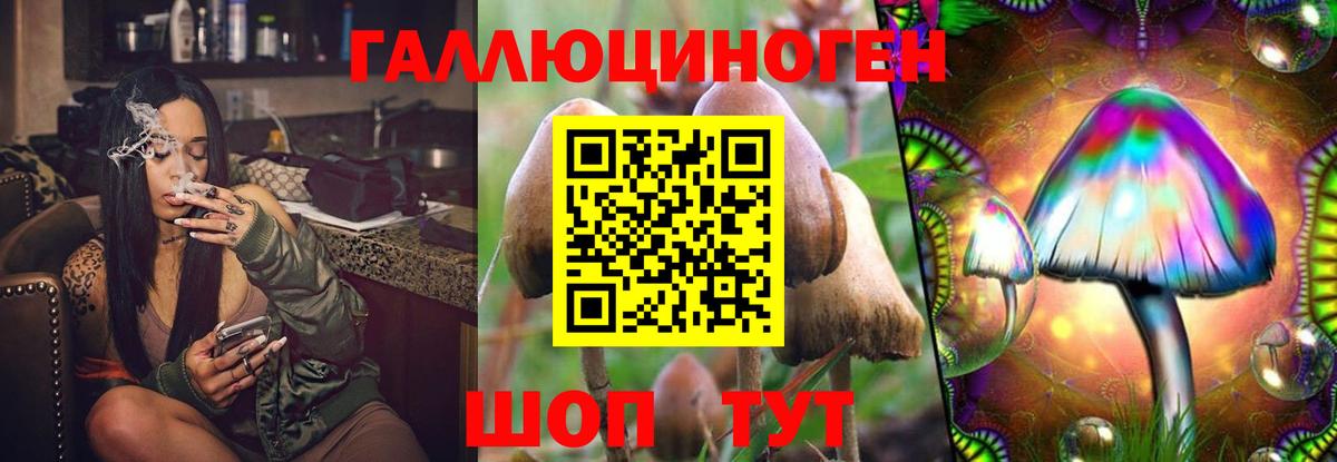 Кузнецк  хочу наркоту  Вход с VPN  Псилоцибиновые грибы Magic Shrooms  Псилоцибиновые грибы мухоморы 